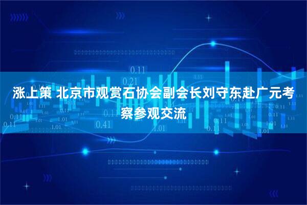 涨上策 北京市观赏石协会副会长刘守东赴广元考察参观交流