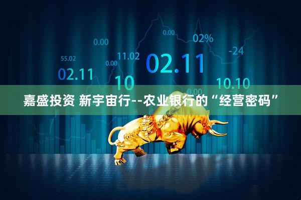 嘉盛投资 新宇宙行--农业银行的“经营密码”