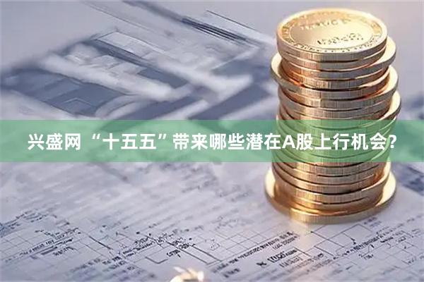 兴盛网 “十五五”带来哪些潜在A股上行机会？
