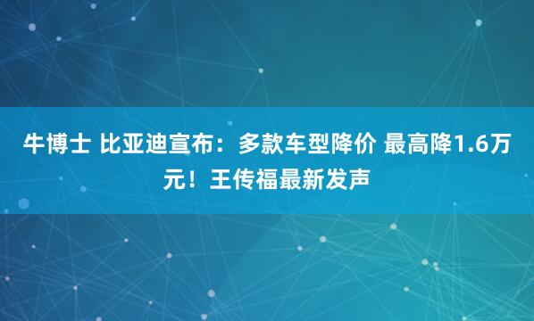 牛博士 比亚迪宣布：多款车型降价 最高降1.6万元！王传福最新发声