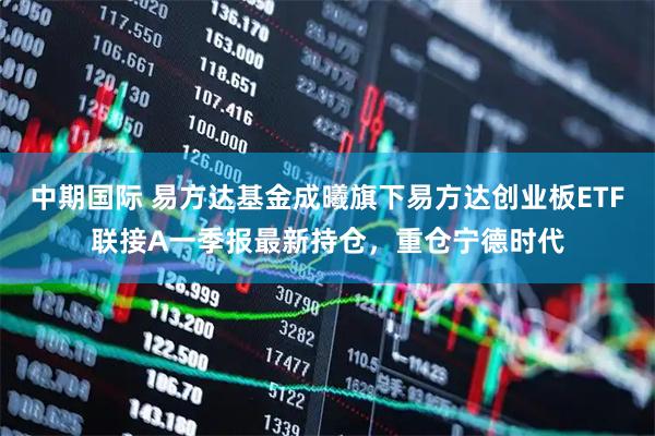 中期国际 易方达基金成曦旗下易方达创业板ETF联接A一季报最新持仓，重仓宁德时代