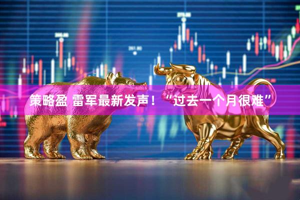 策略盈 雷军最新发声！“过去一个月很难”
